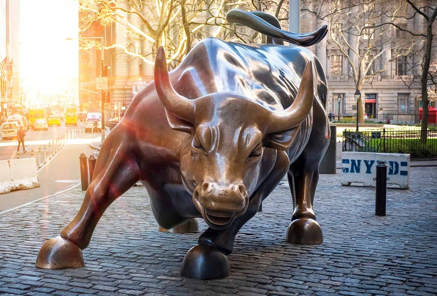 stock-market